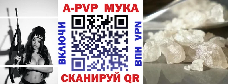 маркетплейс телеграм  магазин  наркотиков  Дыгулыбгей  Альфа ПВП СК 