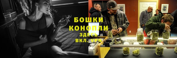 ешки Арсеньев