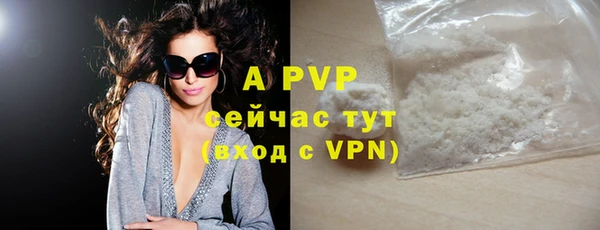ешки Арсеньев