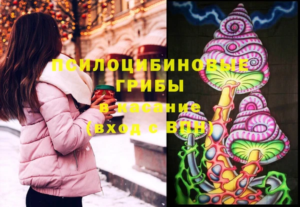 ПСИЛОЦИБИНОВЫЕ ГРИБЫ Армянск